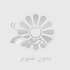 منشاء سگ چاوچاو